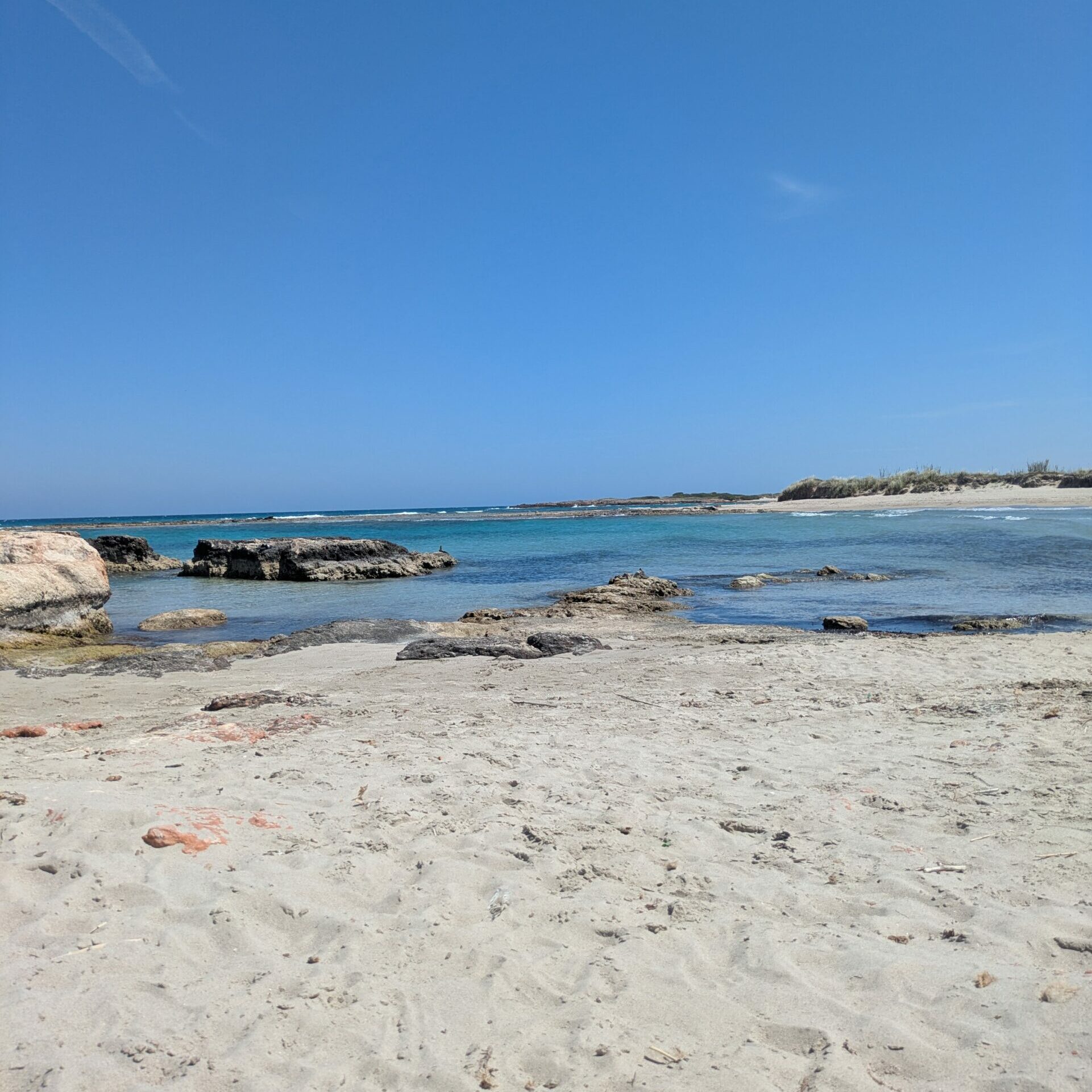 PXL_20250501_113703415